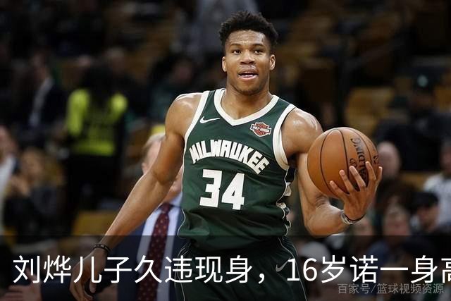 刘烨儿子久违现身，16岁诺一身高超180，过了容貌尴尬期变更帅了