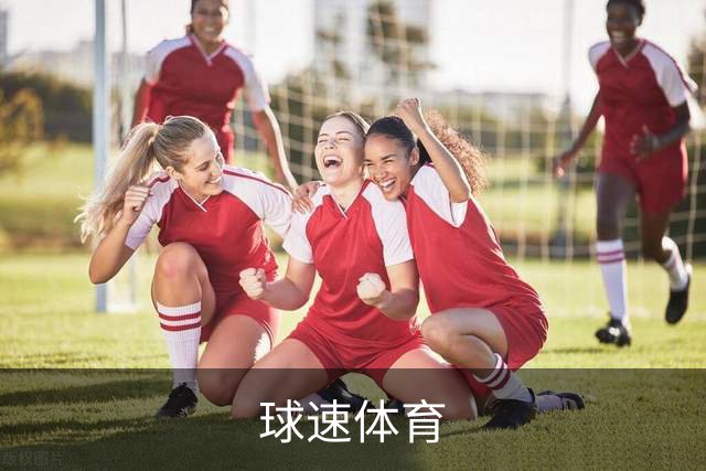 球速体育团队与服务介绍