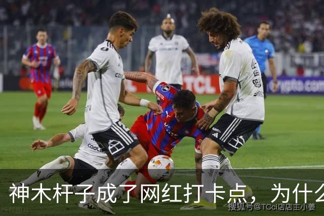 神木杆子成了网红打卡点，为什么要围起来？