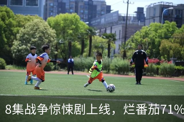 8集战争惊悚剧上线，烂番茄71%，主角原型是CIA特工